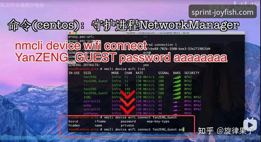 乐鱼在线娱乐下载不了怎么办 vs 手动排查：哪种方案更高效？